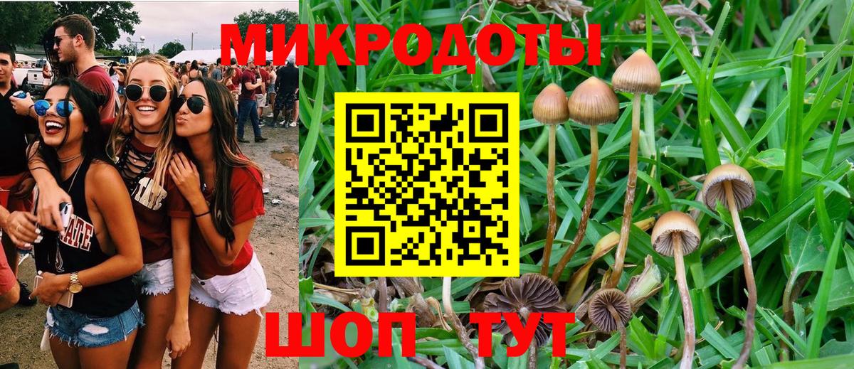 Галлюциногенные грибы прущие грибы Заводоуковск
